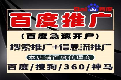 竞价排名的投放策略与效果评估案例